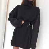 Marley Knit Turtleneck Sweater Dress/Tunic