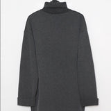 Marley Knit Turtleneck Sweater Dress/Tunic